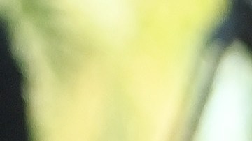 Helen Mirren asiste a la 74º Festival de Cine de Cannes