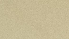 Reverendo Jesse Jackson