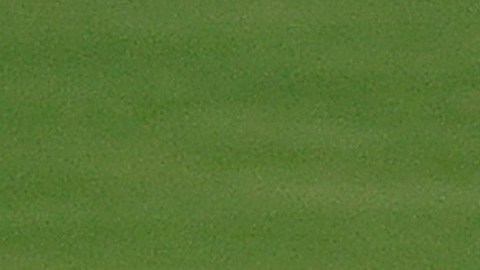 PSG femenino