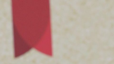 Natti Natasha y Raphy Pina