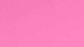 Paris Hilton y Carter Reum.