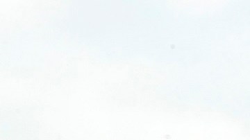 Activistas presionan al Congreso por una protección para indocumentados.