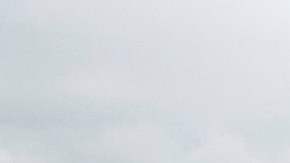 Activistas piden a confresistas desobeder la opinión de la parlamentaria sobre asuntos migratorios.