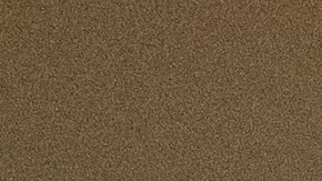 Texas Governor Abbott