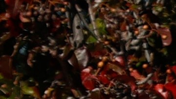 AMD y Meta trabajarán juntos para crear un servidor