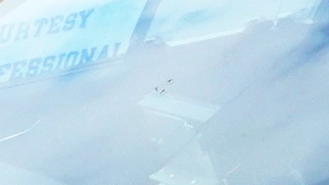 El NYPD reportó los hechos en el puente Kennedy.