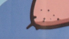 RC Celta de Vigo v FC Barcelona - La Liga Santander