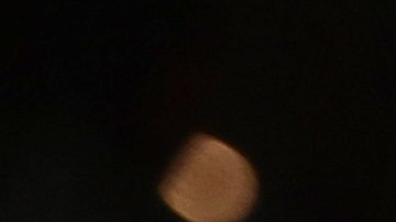 ¡Paris Hilton es madrastra! Su esposo, Carter Reum, sería padre de una niña de 9 años.