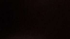 Canelo Alvarez v Caleb Plant