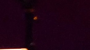 Latin Grammy 2021: la lista completa de los ganadores