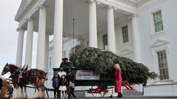 El 22 de noviembre llegó el árbol de Navidad a la Casa Blanca.