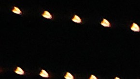 George Kambosos Jr. posa con todos los cinturones que le arrebató a Teófimo López.