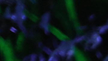 Quién es Sophia Urista, la cantante que será investigada por orinar sobre un fan en un recital