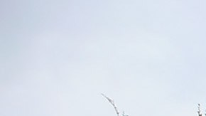 Marine Corps Recruit Depot San Diego