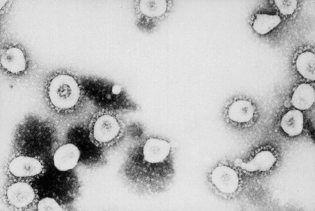 La variante del coronavirus "Ómicron", tiene preocupados a los científicos.