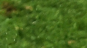 Wesley Sneijder, Lionel Messi y Dirk Kuyt