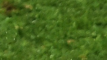 Wesley Sneijder, Lionel Messi y Dirk Kuyt