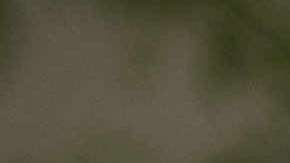 US-CRIME-POLICE-SHOOTING