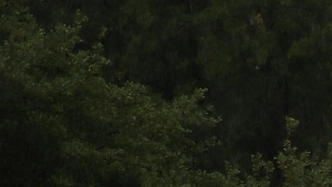 EE.UU. abrirá por primera vez en 73 años su Tumba al Soldado Desconocido