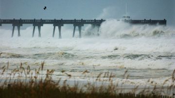 Floridians Prepare For Hurricane Ivan