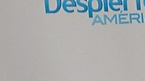 David Zepeda pasa por un muy buen momento profesional