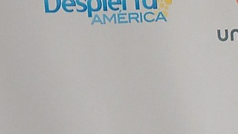 David Zepeda pasa por un muy buen momento profesional