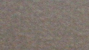 Los latinos en EE.UU. enfrentan discriminación por el tono de su piel.