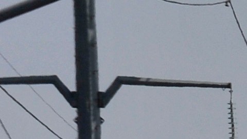Zapotlanejo Jalisco