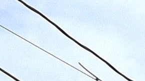 Policía de Belleville, Nueva Jersey