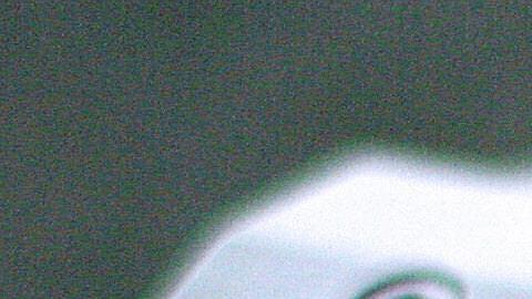 El niño de 4 años murió al dispararse accidentalmente en la cara.