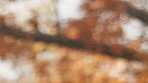 NEW YORK - NOVEMBER 22: The Thanksgiving Turkey makes its way during the 81st annual Macy's Thanksgiving Day Parade on November 22, 2007, in New York City. (Photo by Hiroko Masuike/Getty Images)