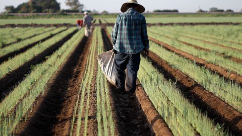 Obligaron a las personas a “realizar trabajos físicamente exigentes" por poco o ningún salario.