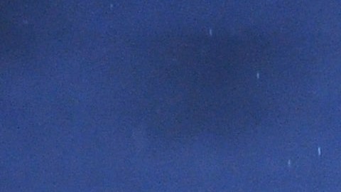 Manchester United Training Session