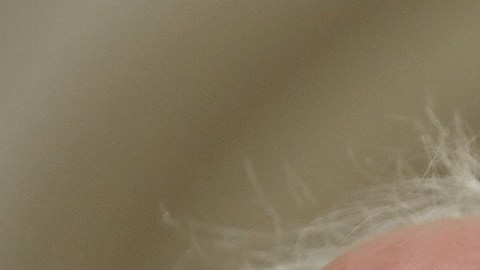 El senador Bernie Sanders es uno de los principales impulsores de la reducción de costos de medicamentos.