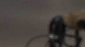 Antes de 2010, los latinos tenían las tasas más bajas de seguro médico. Para 2019, más de cuatro millones de latinos y latinas habían obtenido algún seguro de salud.