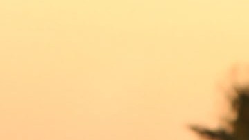 Muertes en la frontera sur de Estados Unidos