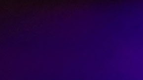 stripper nueva orleans