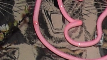 Integrantes del clan Kardashian-Jenner.