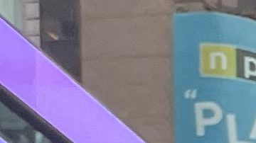 Activistas presionan al Congreso para aprobar una proteccion permanente para indocumentados.