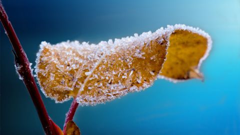 Invierno