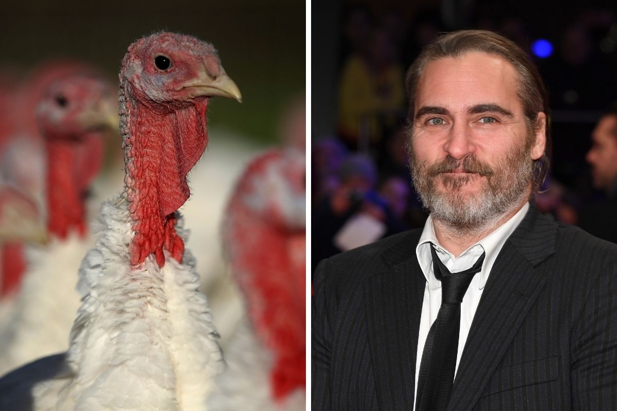 Joaquin Phoenix pide adoptar pavos y no comerlos en Thanksgiving.
