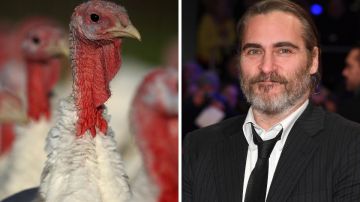 Joaquin Phoenix pide adoptar pavos y no comerlos en Thanksgiving.