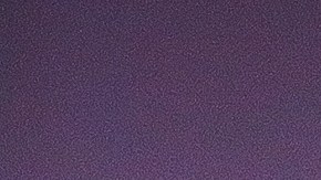 Julio Cesar Chavez Jr