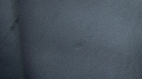 Excompañeros de Maradona realizan emotivo homenaje