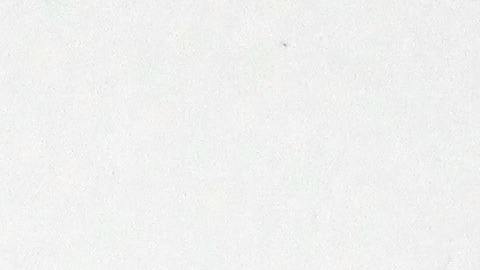 Cheque de estímulo