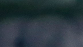 Uruguay despidió a Óscar Washington Tabárez