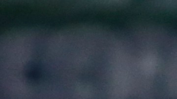 Uruguay despidió a Óscar Washington Tabárez