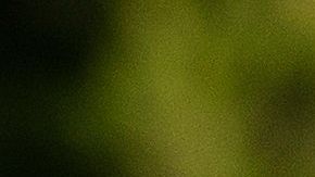 Rafa Nadal cambió el tenis por el golf durante un día