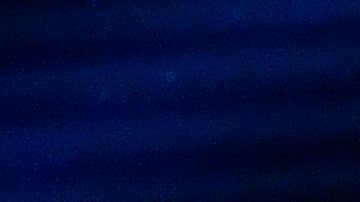 Ronaldo Nazario se comparó con Cristiano Ronaldo