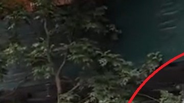 El Senador Chuck Schumer experimentó el desafió de entregar comida a domicilio.